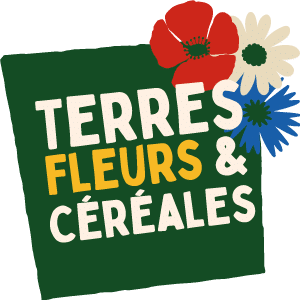 Logo Terres, Fleurs et Céréales